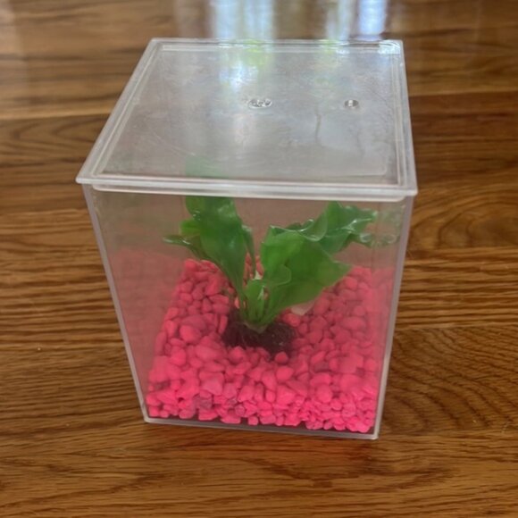 Frog or fish home 4” x 4” (without pink rocks pictured) - Picture 2 of 2